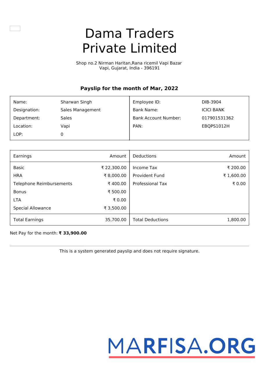 Realistic Dama Traders payslip download for verification